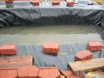 new pond 005.JPG