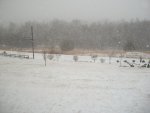 snow pond march 3rd 2014 014.JPG