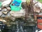 pond july 3rd 2013 002.JPG