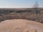 tumbleweeds1[1].JPG