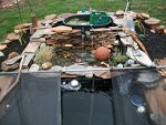 pond 2014 19th 018.JPG