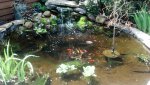 IMG_20140515_124422_264.jpg