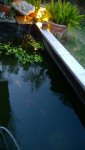 WP_20140525_20_00_06_Pro__highres.jpg