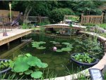 Mike-and-Tammie-new-pond.jpg