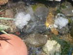 waterfall spitters 002.JPG