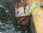 well and pond 016.JPG