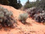 DSCN5583.JPG