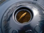 fish under the de icer.JPG