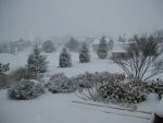 IMG_1524_1.jpg