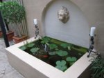 raised-fish-pond.jpg