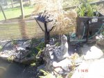 DSC03725.jpg