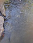 DSC03729.jpg