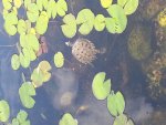 20140629_154516.jpg