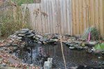 POND1.jpg.JPG POND1.jpg.JPG