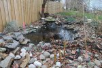 pond2.JPG pond2.JPG