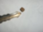 pet solutions 2014 013.JPG