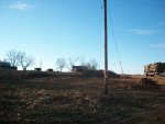 logging dogs and pond 001.JPG