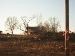 logging dogs and pond 002.JPG