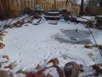 juncos and frozen pond 1 2015 019.JPG
