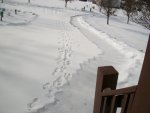 snow 2015 006.JPG
