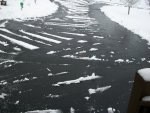 snow 2-26-15 024.JPG