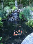 Maffei Koi Pond 2.jpg