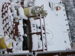 12-26-2010 snow 019.jpg