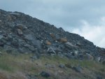 hillsville2011 022.jpg