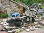 IMG_10261.JPG