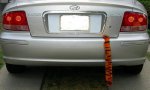 tiger tail.jpg