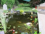Pond 4.JPG