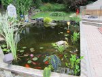 Pond 3.JPG