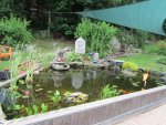 Pond 2.JPG