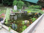 Pond 1.JPG