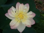 DSC01743.jpg