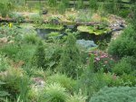 DSC01750.jpg