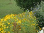 DSC01751.jpg