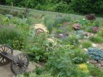 DSC01749.jpg
