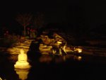 Pond at night.JPG