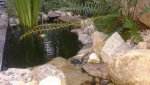 20150803_190739.jpg 20150803_190739.jpg