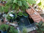 build stuff - pond 2015 058.JPG
