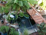 build stuff - pond 2015 058.JPG