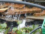 build stuff and pond 11-17-2015 018.JPG