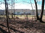 woods behind 2016 043.JPG