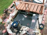 new build stuff pond and rain 2016 009.JPG