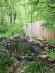POND.jpg POND.jpg