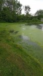 20160605_141800.jpg