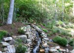 Falls and Backyard June 9 2016.jpg Falls and Backyard June 9 2016.jpg