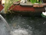 100_7385.JPG