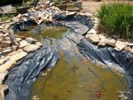 pond lotus trees 2011 017.jpg